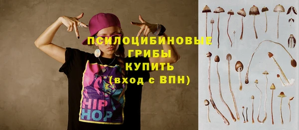 хмурый Зеленодольск