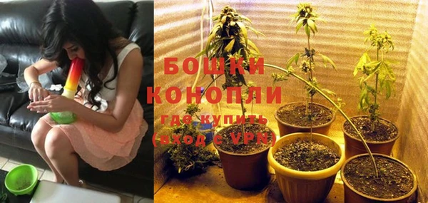 мяу мяу мука Инсар